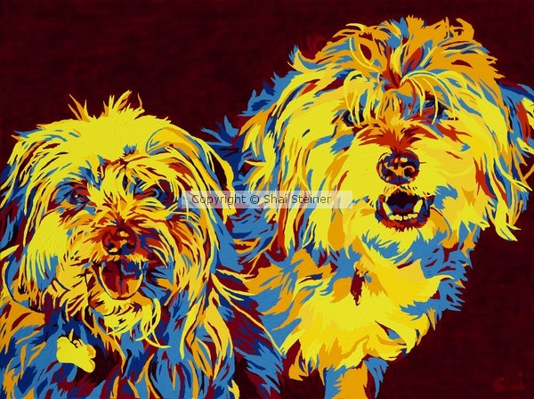 Wookie & Shasta