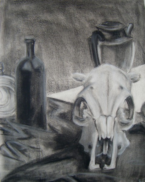 Skull still life