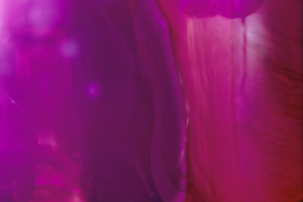 Pink Pooter