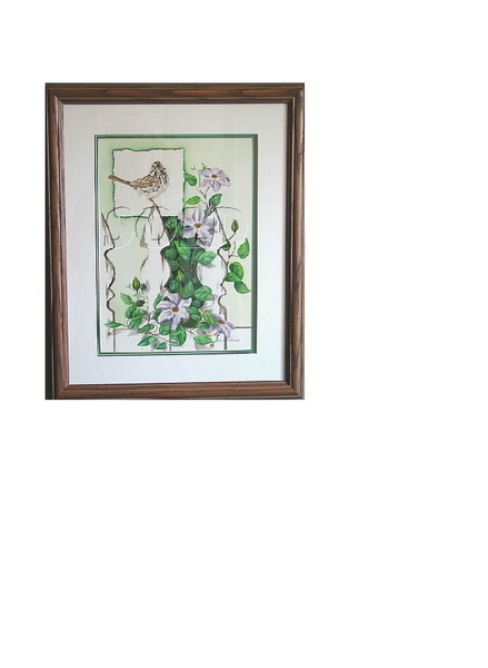 song sparrow and clementis vine