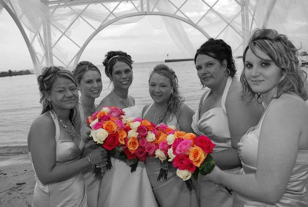 Bride & Brides Maids