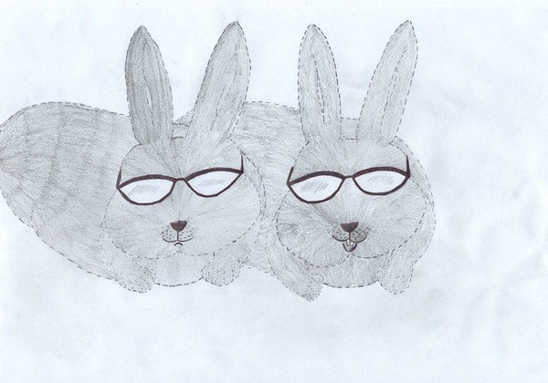 rabbit2