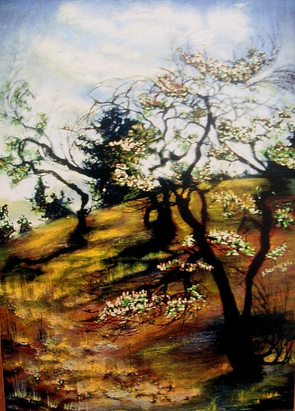 Nature's Rhythms
