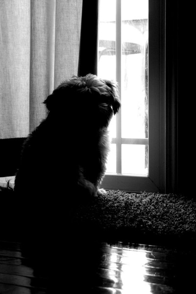 Rainy Days