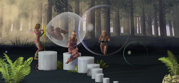 The world inside a bubble