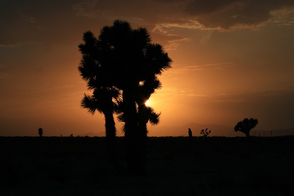 A Desert Setting  #5