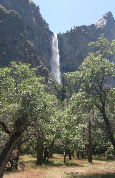 Up at Waterfall