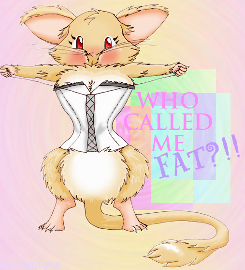 who called me fat?!