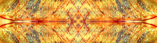 Dew Drop Mandala (horizontal)