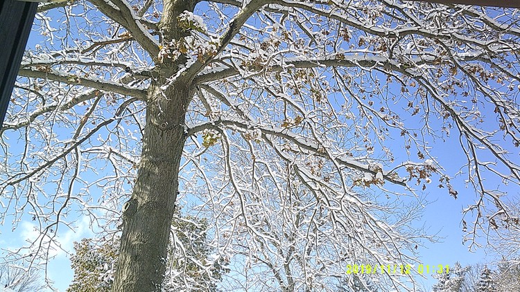 first snow