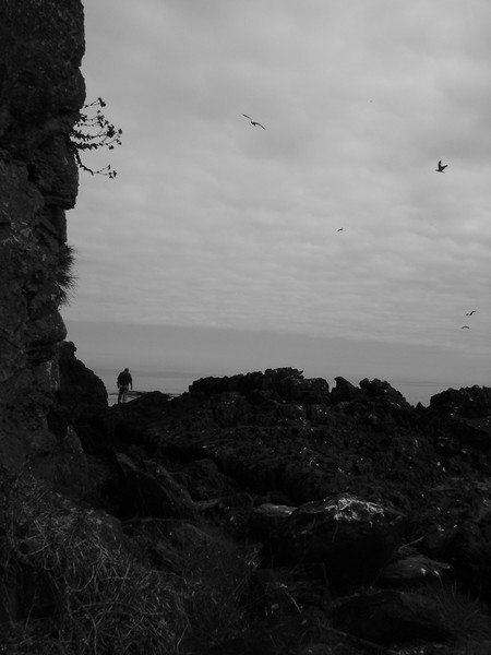 Sea watch