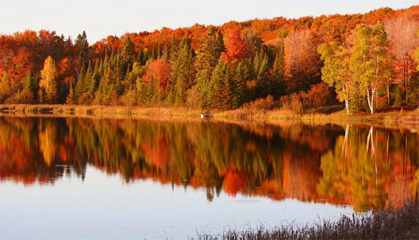 Autumn Splendor