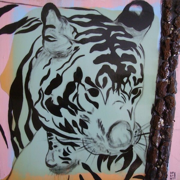 Baby Tiger 