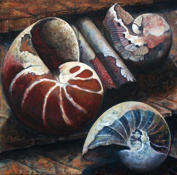 Ammonite Mass Mortality # 4