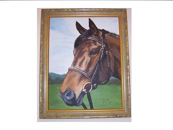 Horse Portrait