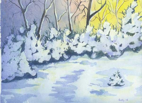 Sunrise after Snowfall