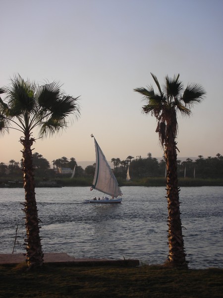 Felucca