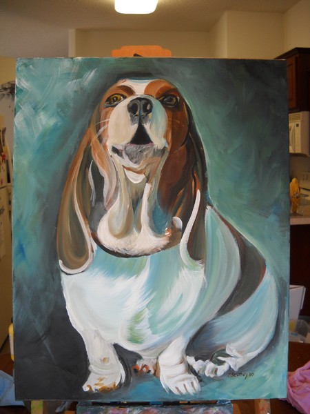 Basset Hound