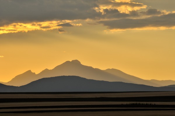 Longs Peak Gold Rush