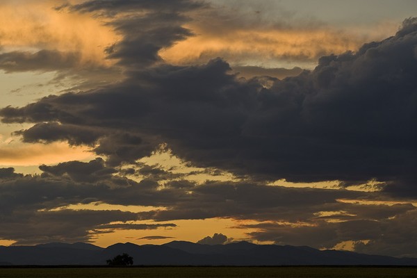 Wheat fields and Wonder Clouds
