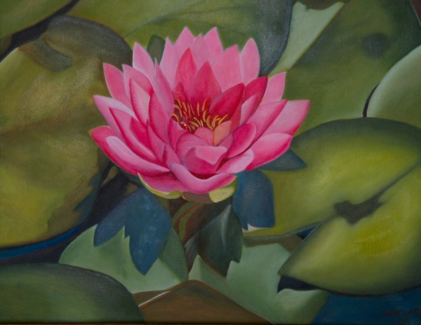 Waterlily