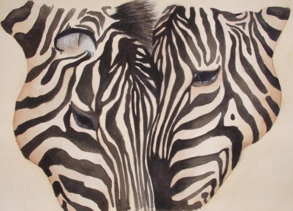 Zebras