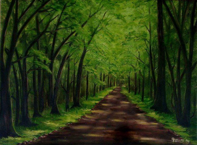 Green forest