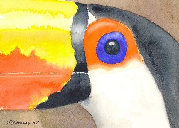 Mr. Toucan 2