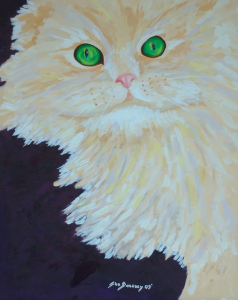 Another MadKitty