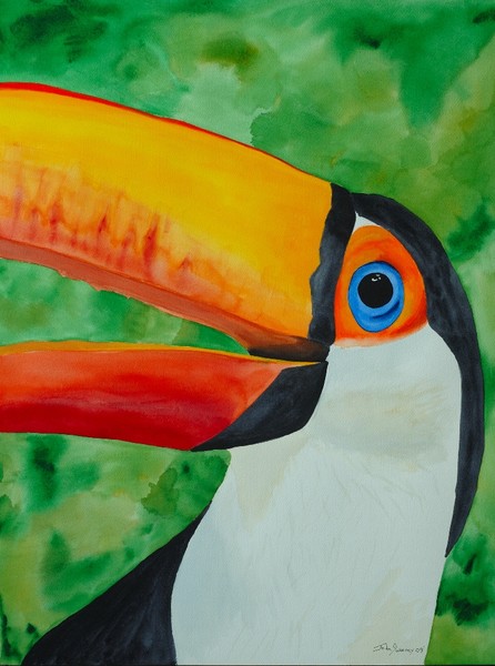 Talking Toucan