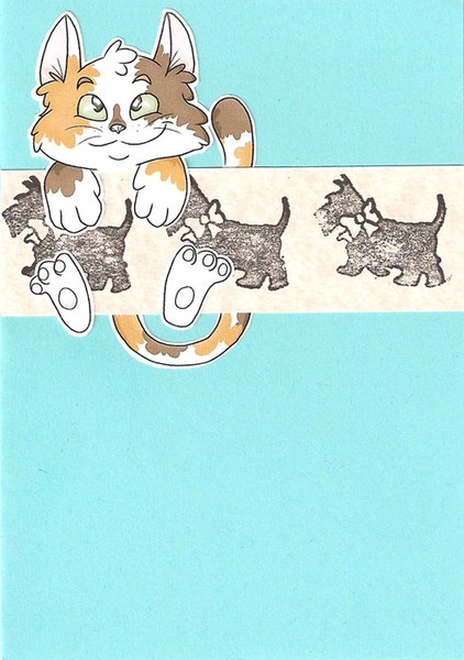 Cats and dogs