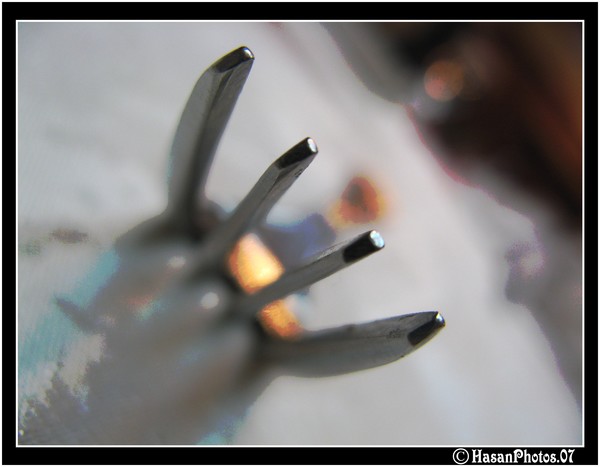 Fork ATTACK