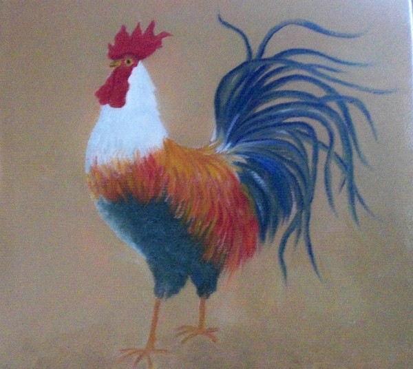 Young Rooster