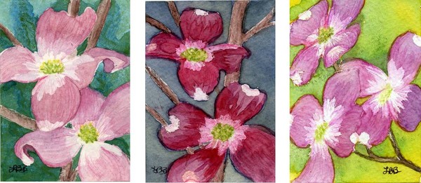 Dogwood Winter--#1,2,3