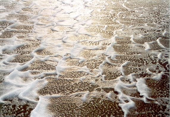 White Seabreeze