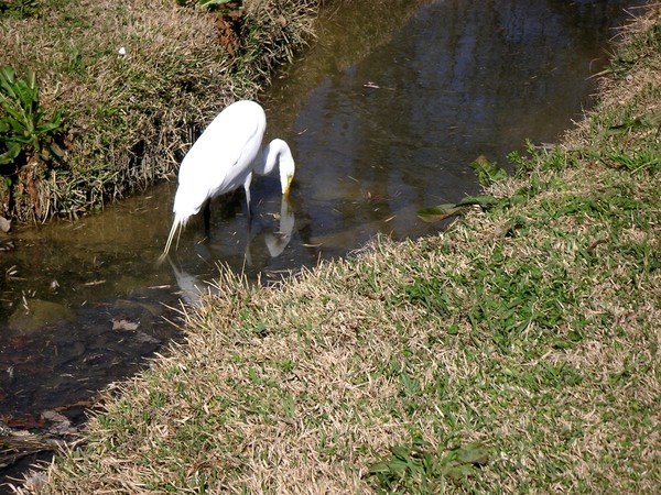 Finding Breakfast
