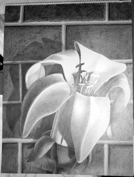 Flower and brick