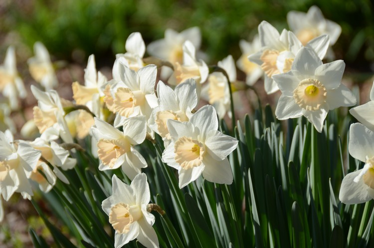 Spring time