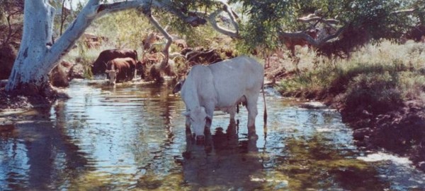 Brahman in the Stream