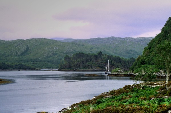 Loch Moidart Entrance