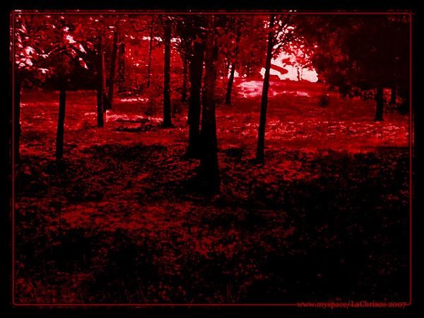 Bloody River