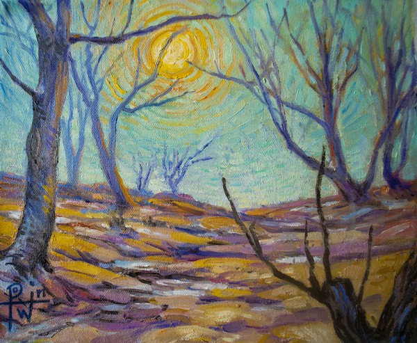 Winter Sun