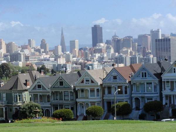 Painted Ladies