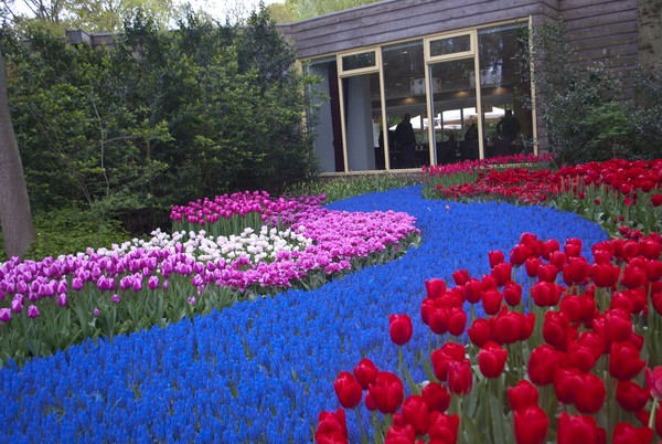 Keukenhof Gardens 1
