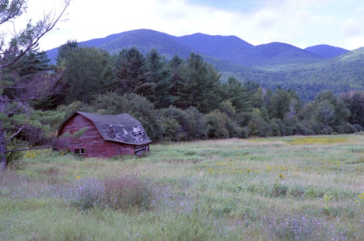 Old Red Barn in Summer