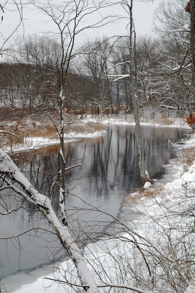 Stream in Winter