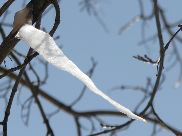 2010 -Spring Helsinki