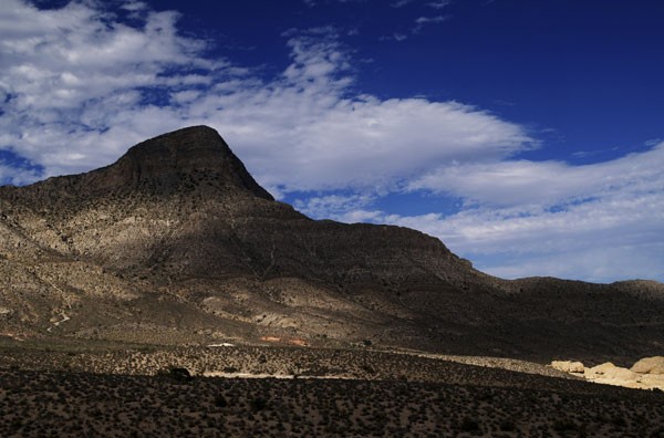 Desert Landscape