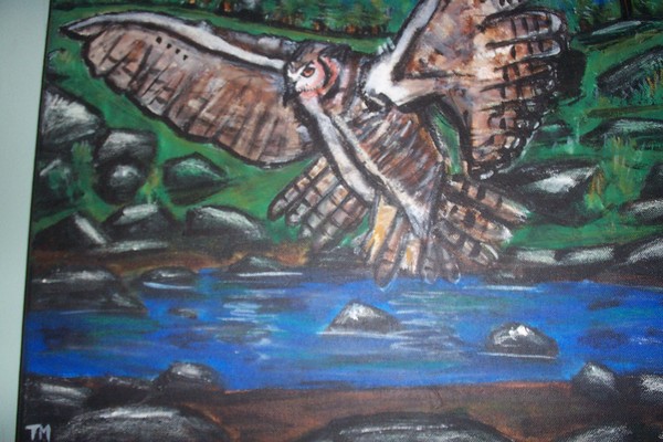 owl