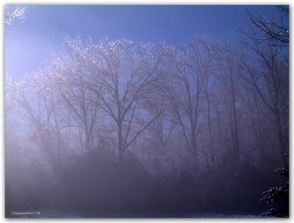Winter Light
